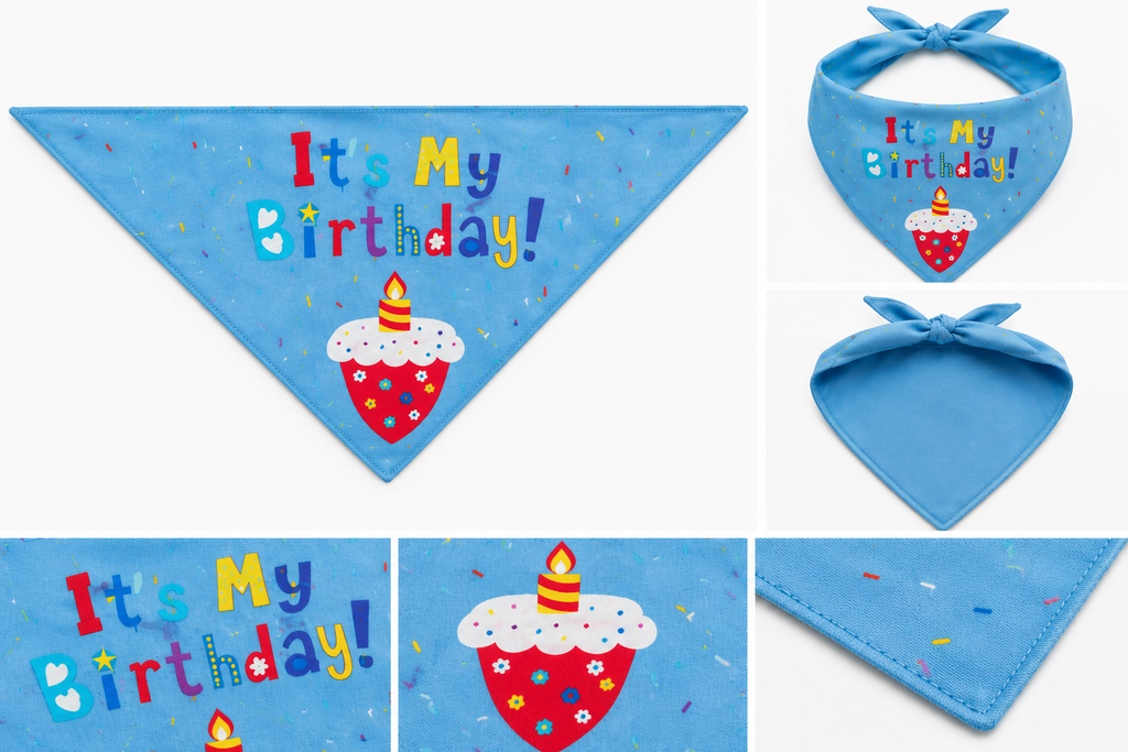 Kit Cumpleañero Pawmerald Perrhijo 🩵🐾