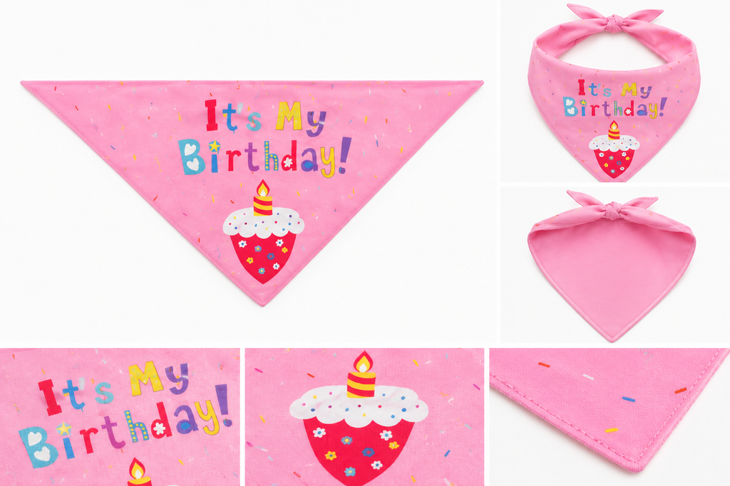 Kit Cumpleañero Pawmerald Perrhija 🎉🐾