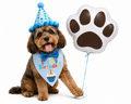 Kit Cumpleañero Pawmerald Perrhijo 🩵🐾