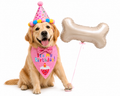Kit Cumpleañero Pawmerald Perrhija 🎉🐾