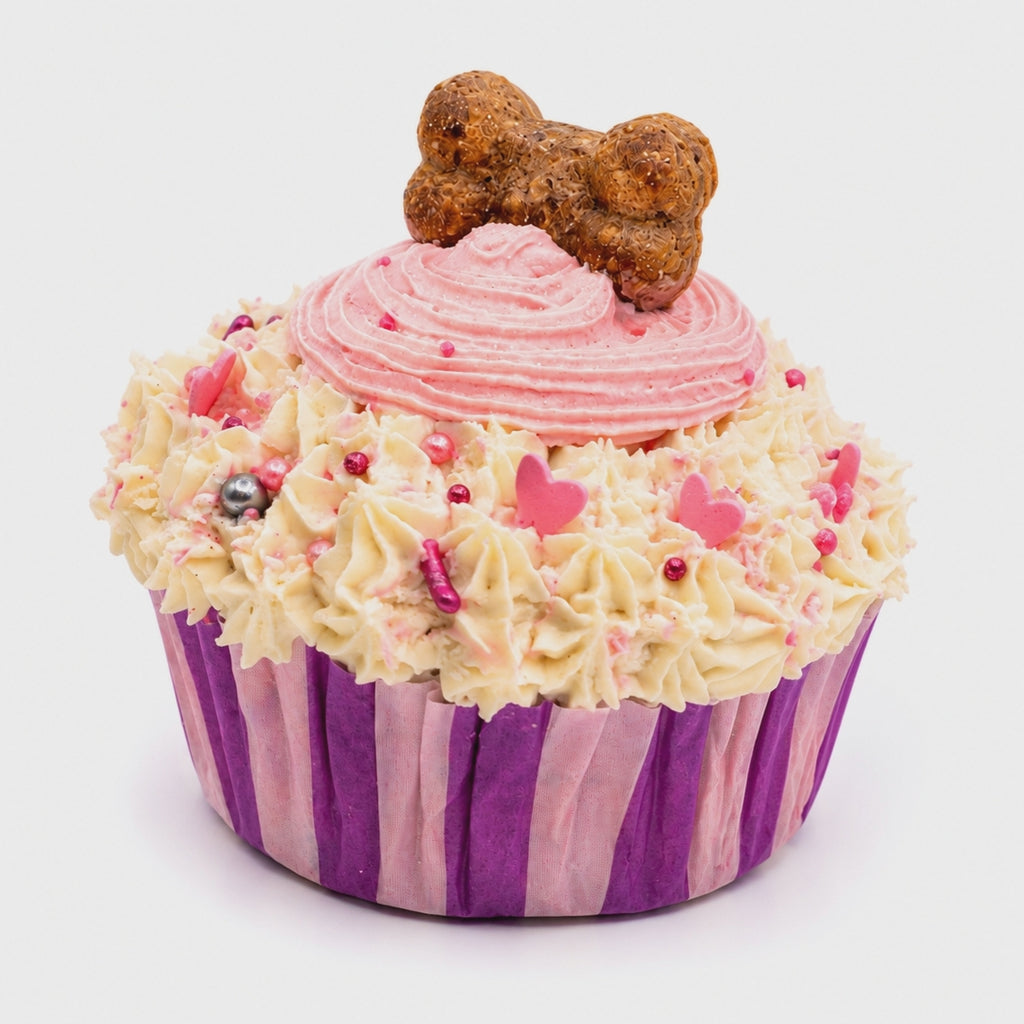 Cupcake Pack FIESTA!