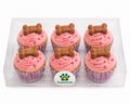 Cupcake Pack FIESTA!